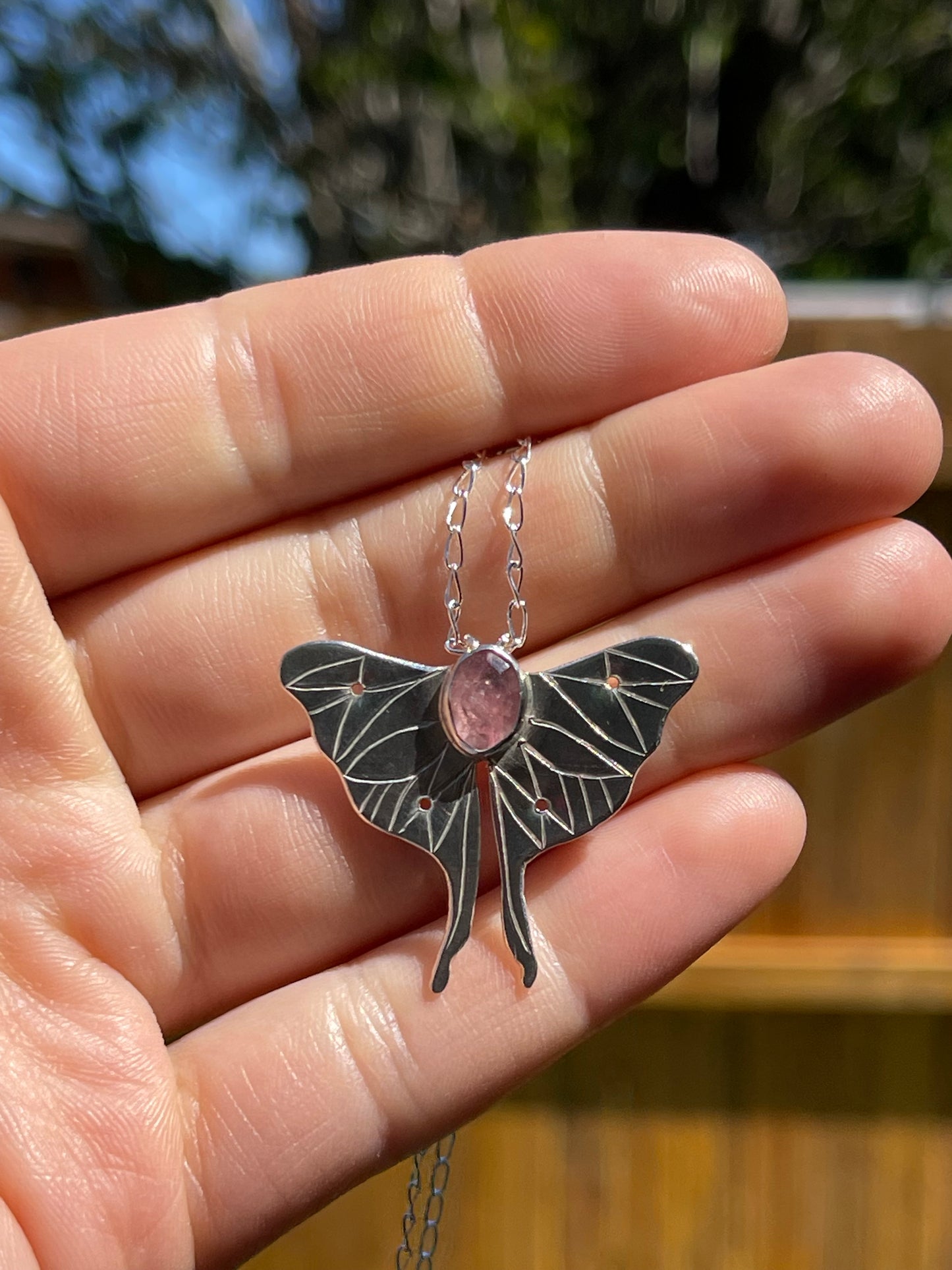 Luna Moth {five}