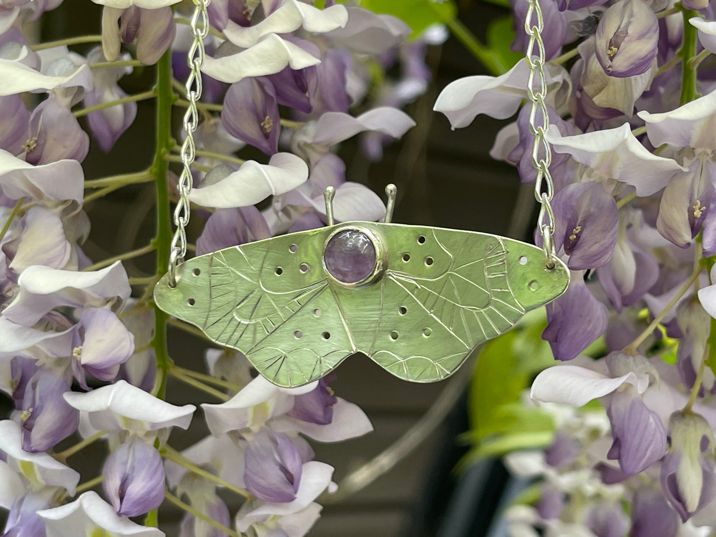Amethyst Moth